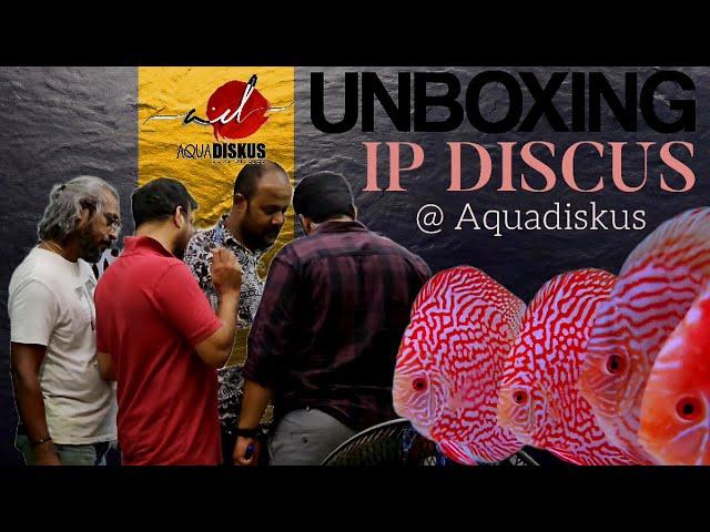 Unboxing world's best discus | IP DISCUS | Anil D'Souza | Aquadiskus | discus fish | discus ninja