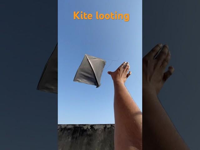 Kite looting shorts | #shorts #viral#kite