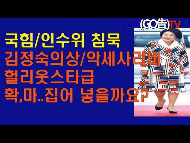 국힘/인수위 침묵,김정숙 의상비 악세사리비  헐리웃 스타급,확,마.. 집어 넣을까요?