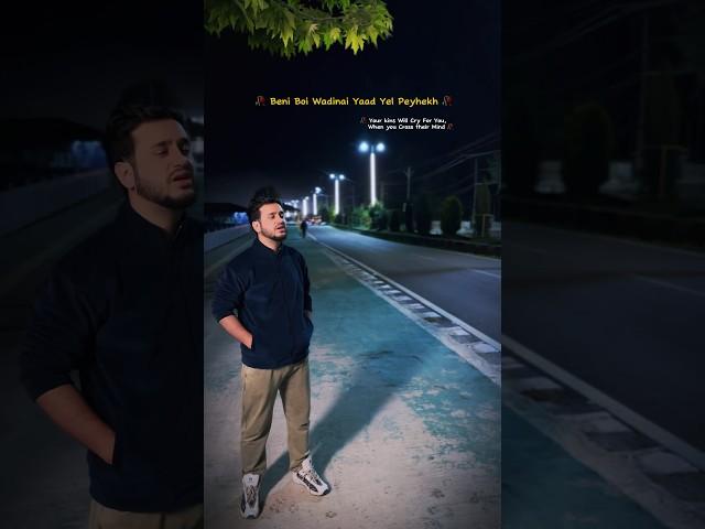 Beni boi Wadinai | Sheikh-Ul-Alam (RA) | WaSeem khan #kashmirisongs #waseemkhan #cover #music