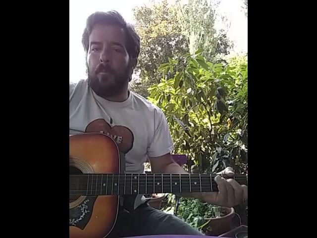 Voodoo lady (WEEN COVER) by Jeremy roe