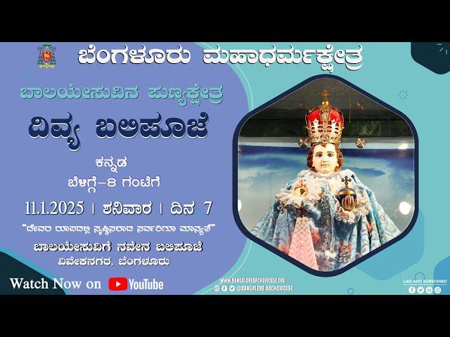 11.01.2025 | Novena Day 7 | Kannada Live Mass | Infant Jesus Shrine, B'lore