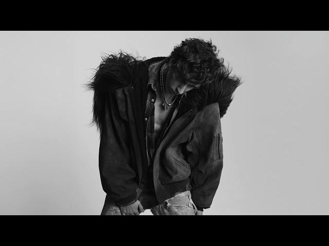 nate sib - go (official audio)