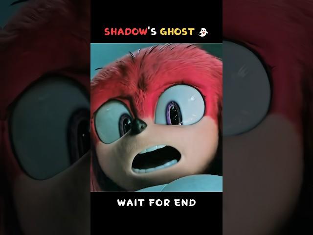Knuckles TERRIFIED by Shadow’s Ghost  #shorts #shadow #knuckles #sonicthehedgehog