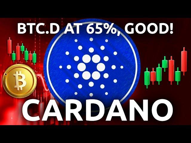 Cardano (ADA) - 2017 Wasn't Any Different (2025 Price Prediction)