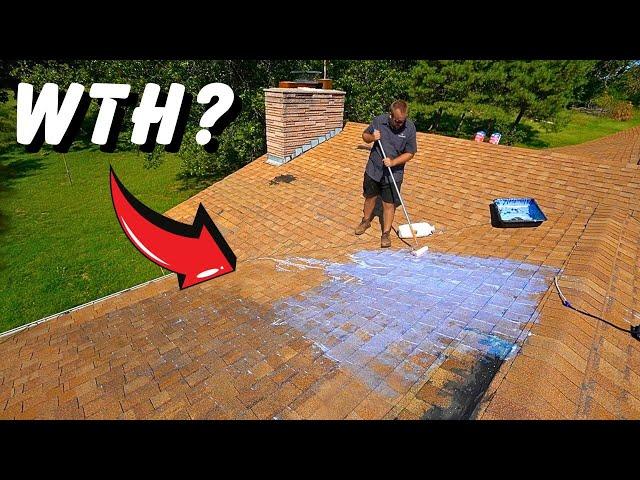 A Cheap Way to Extend the Life of Your Roof - Will It Work?