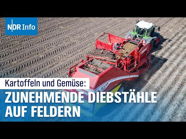 Obst- und Gemüsediebstahl: Ein wachsendes Problem für Landwirte | NDR Info