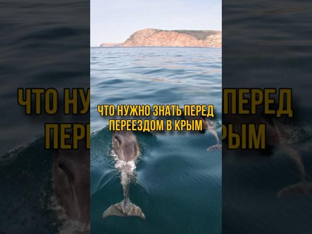 Что нужно знать перед переездом в Крым #крым #travel #недвижимостьвкрыму #квартирауморя #инвестиции