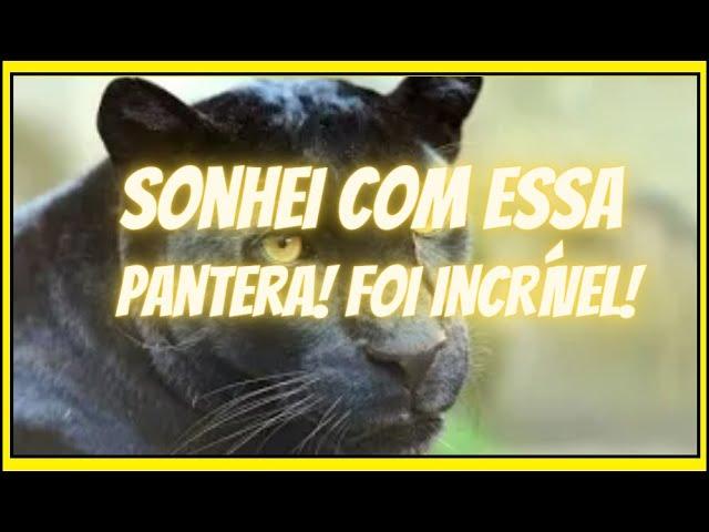 Sonho com uma Pantera negra em 2018