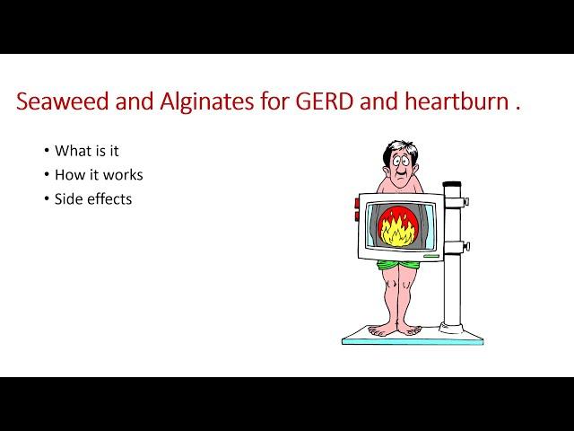 GERD treatment. Seaweed and Alginates for GERD and heartburn. Possible side effects. Gaviscon