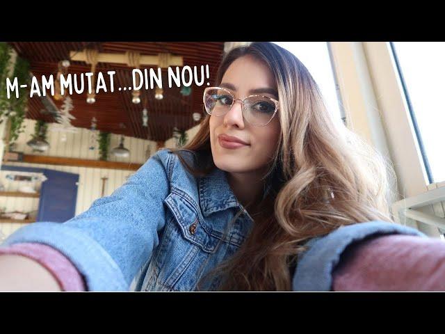 DailyVLOG M-am mutat...iar! Despre peripețiile locuitului cu chirie & Haul ZooPlus