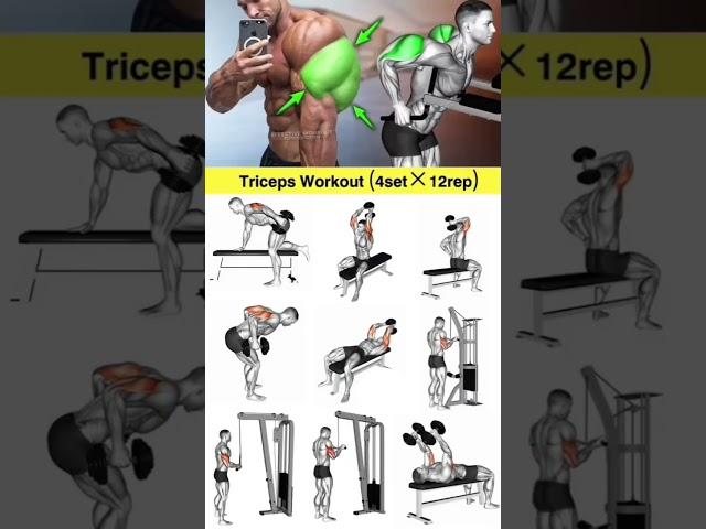 Day:69/75 Most Effective triceps Workout#fitness #gym #explore#bodybuilding#fyp#workout #back#reels