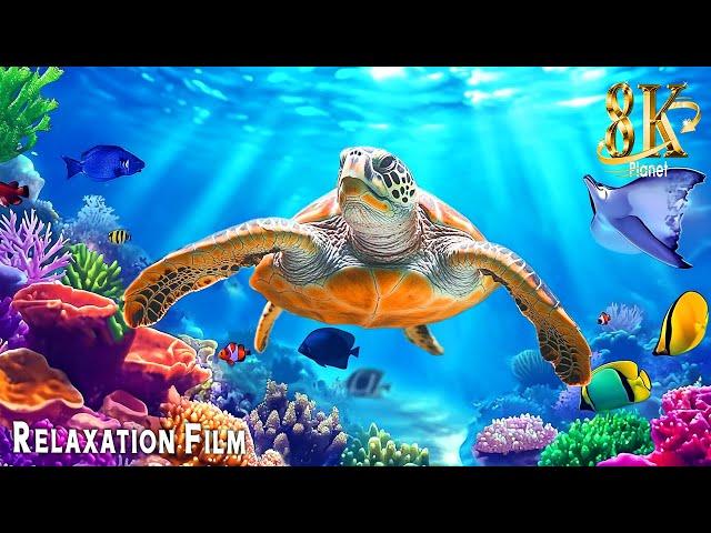 Aquarium 8K Ultra HD  Beautiful Coral Reef Fish & Relaxing Meditation Music for Sleep