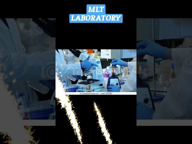 🩸Lab Technician Status  MlT Status ||  #medical #bmlt #dmlt #laboratory #shorts #youtubeshorts 