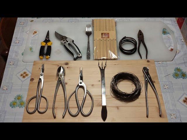 Bonsai Tools for Beginners - Basic Bonsai Starter Kit