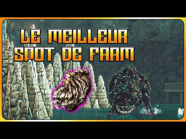 Dark Souls 2 Farm d'Os de Dragon Pétrifiés : Le MEILLEUR Spot