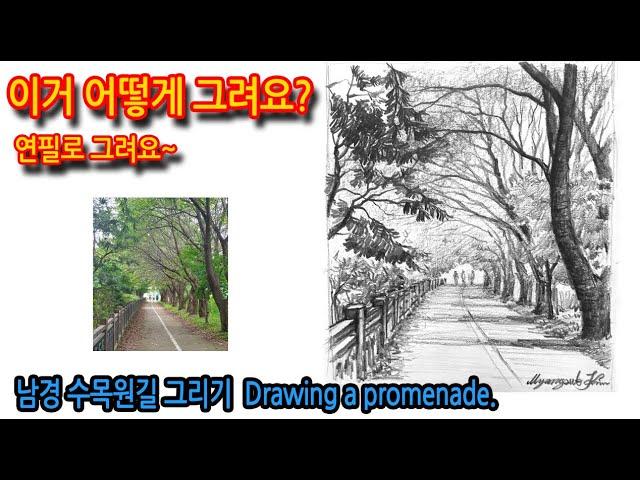 티노씨드로잉 [44강]터널같이 이어진 나무들 그리기(남경 수목원길) Drawing a promenade.#나무그리기#연필드로잉#풍경스케치