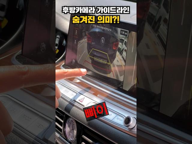 트렁크 열다가 뒷 차 박음 #카통령 #트렁크 #자동차꿀팁