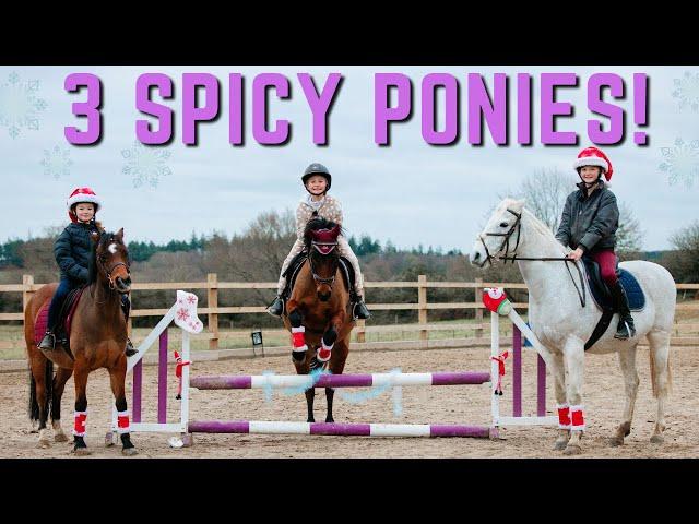 3 SPICY PONIES! CHRISTMAS JUMPING AT MY FRIENDS HOUSE * LOTS OF PONY SWAPS! *