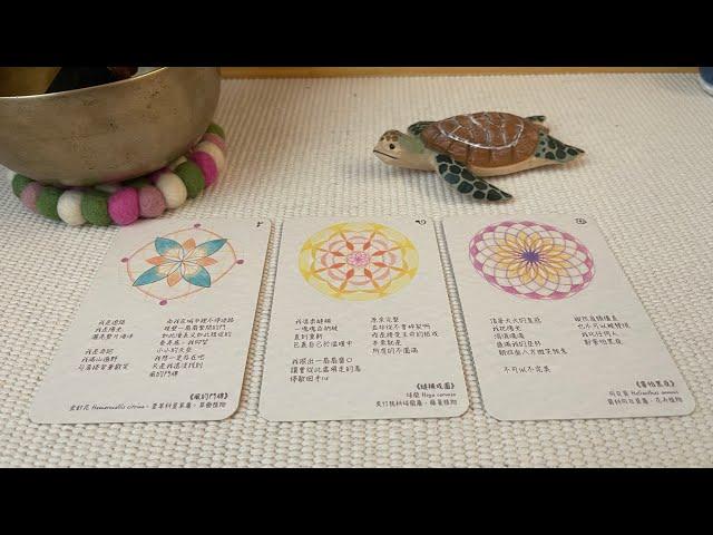 「擺渡人tarot」你對我真實的情感？ #愛情塔羅占卜