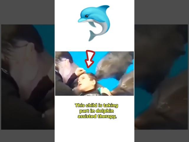 Healing Powers of Dolphins  (@fascinatingglobe - IG) #dolphin #dolphinsounds