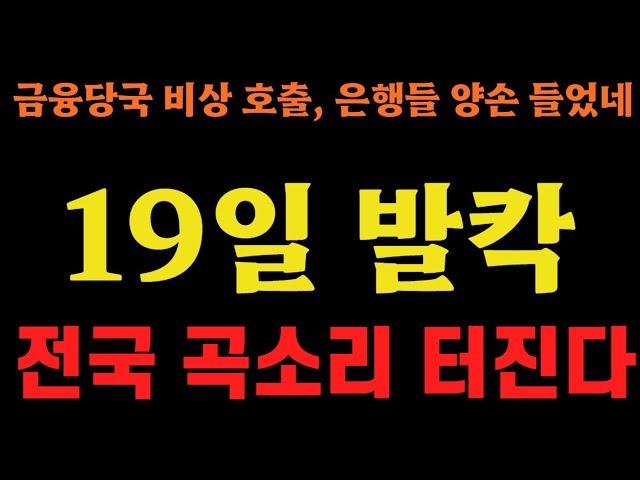 NH농협은행마저 단, 하루만에 난리났다!!