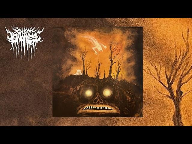 Corpse Gnomes - Court of the Bog King (2024)