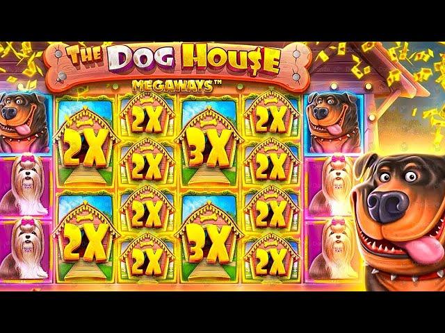 КУПИЛ БОНУС В DOG HOUSE MEGAWAYS ПО MAXBET!! ПОЛЯНА БУДОК В ДОГ ХАУС! #doghousemegaways #maxwin