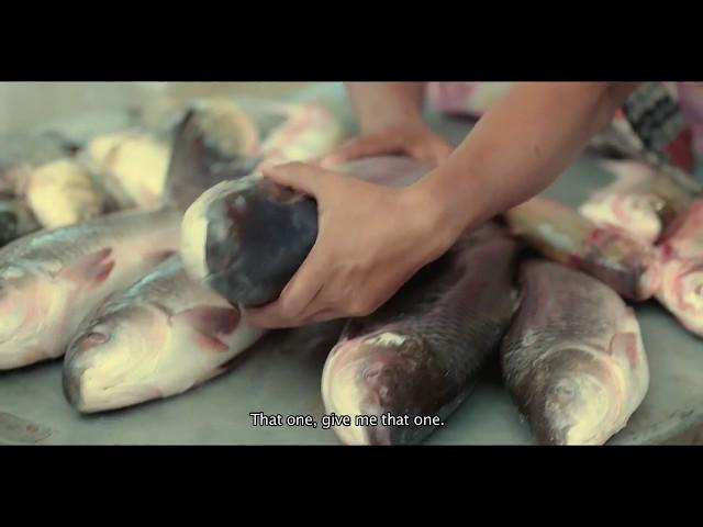 Ending Child Marriage - Fish Market