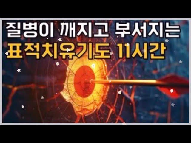 🩸️표적치유기도 11시간 반복 / 질병이 깨지고 부서지는 표적치유기도 11시간 / 읽는 기도책 저자, 무명의 목사님의 사모님