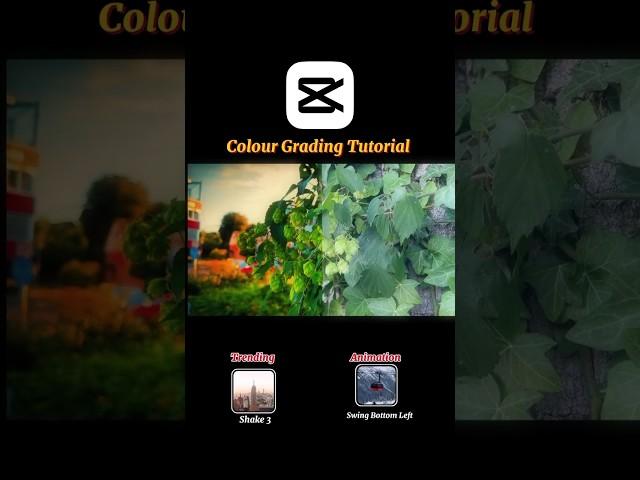 CapCut Colour Grading Tutorial | #howtoedit #capcuttutorial #videoediting