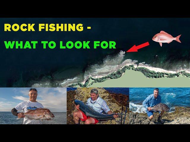 HOW TO FIND A GOOD ROCK FISHING SPOT FOR SNAPPER, KINGFISH, KAHAWAI, TREVALLY