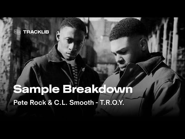 Sample Breakdown: Pete Rock & CL Smooth - They Reminisce Over You (T.R.O.Y.)