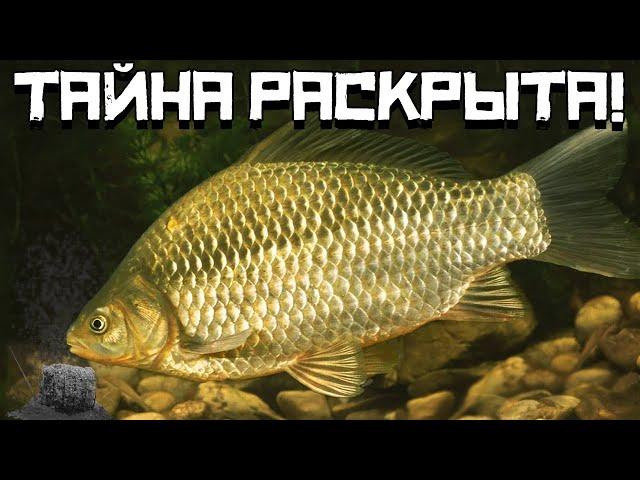 КАРАСЬ ДУРЕЕТ от ЭТОГО! Секретная насадка РАСКРЫТА! Рыбалка весной 2024