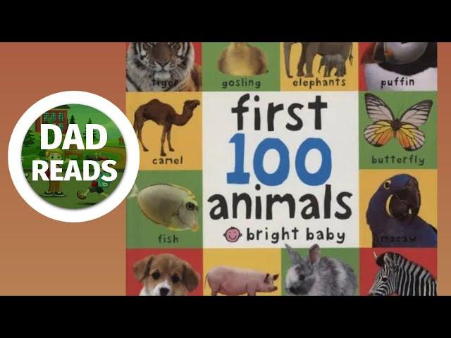 First 100 Animals Board Book (Dad Reads aloud for kids)