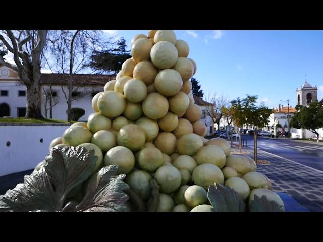 A Walk Through Azeitão and the Bacalhôa Palace and Winery *WINE!