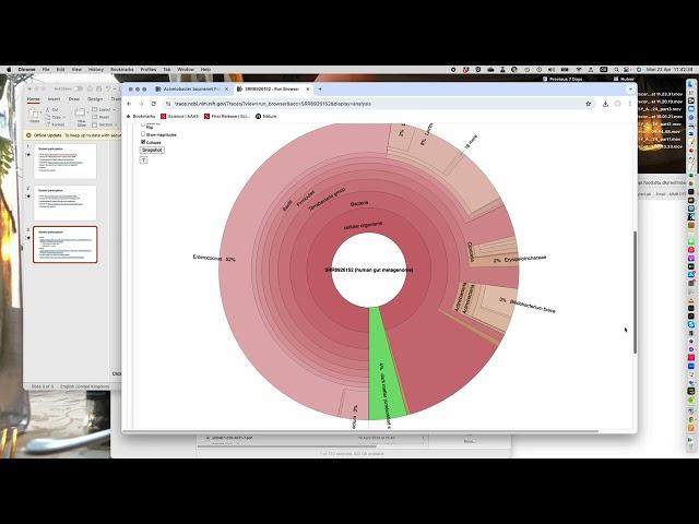 BIO 5025Y AMR omics Pallen 2024 part4