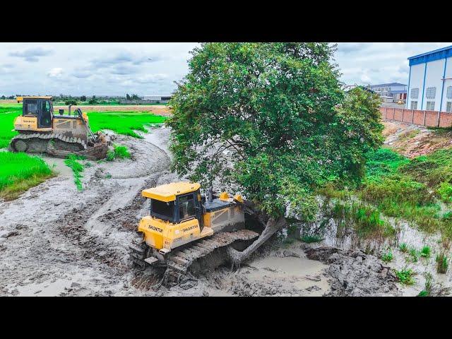 Perfectly! Excellent Skill Driver Dozer SHANTUI  Pushing  Clear Mud with Dump truck pouring soilRock