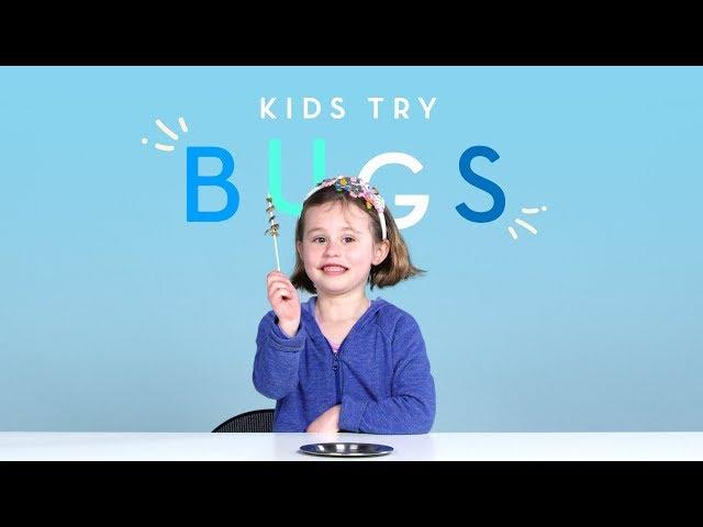 Kids Try Bugs | Kids Try | HiHo Kids