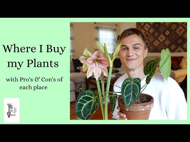 Where to Buy Good Plants - Cheap Plants, Rare Plants, Online Plants & Everything in Between