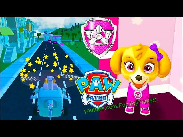 PAW Patrol: A Day in Adventure Bay - Skye #1