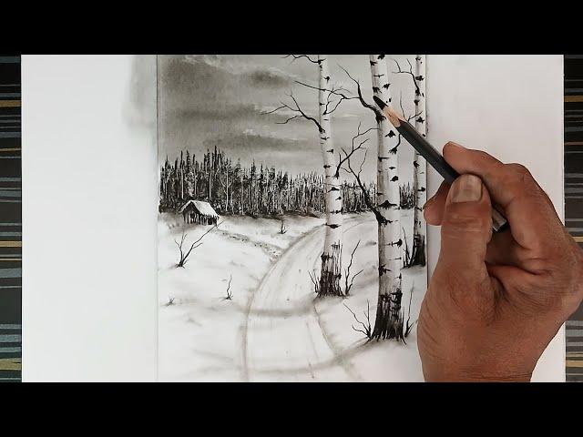 How to draw birch trees landscape by pencil/ Drawing for beginners/