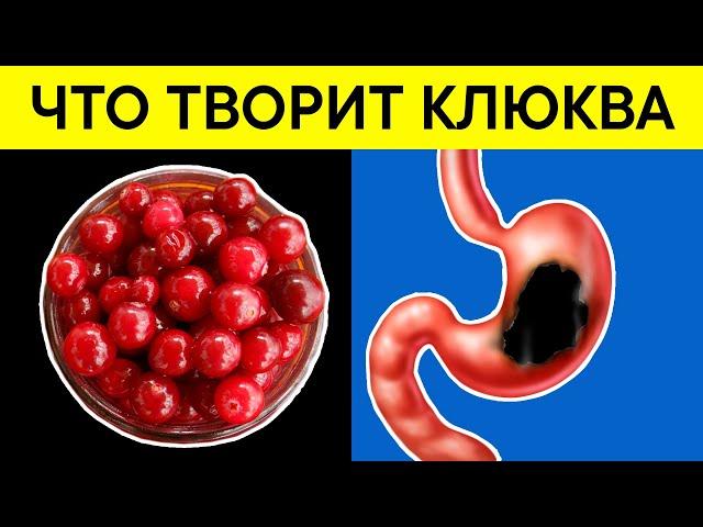 Применяла КЛЮКВУ по совету соседки и избавилась от 15 НЕДУГОВ. Не ожидала такого!