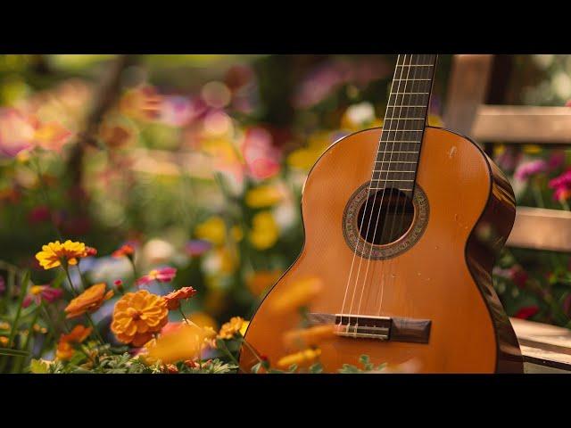 The World's Best Classical Music, Deeply Relaxing Guitar Music, Reduce Brain Overload, Sleep Well