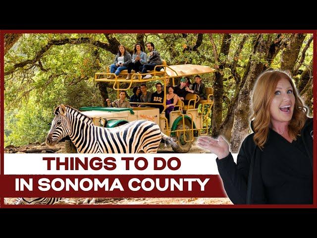 What to do for fun? [BEST SUMMER ACTIVITES IN SONOMA COUNTY] Living in Sonoma County, CA