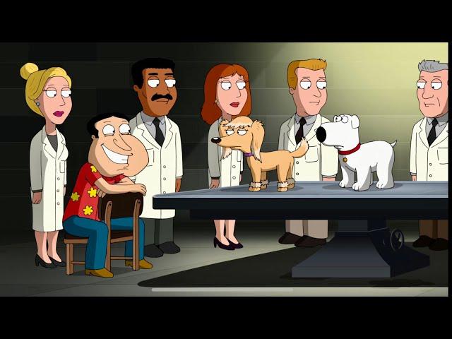 Family Guy: Brian found his true love again