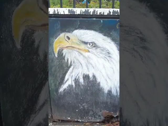 Daily videos from Dublin, Ireland 