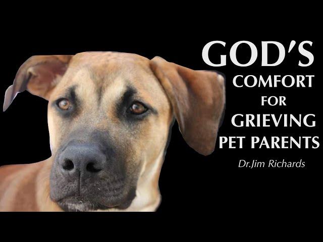 God's Comfort for Grieving Pet Parents - Dr. Jim Richards