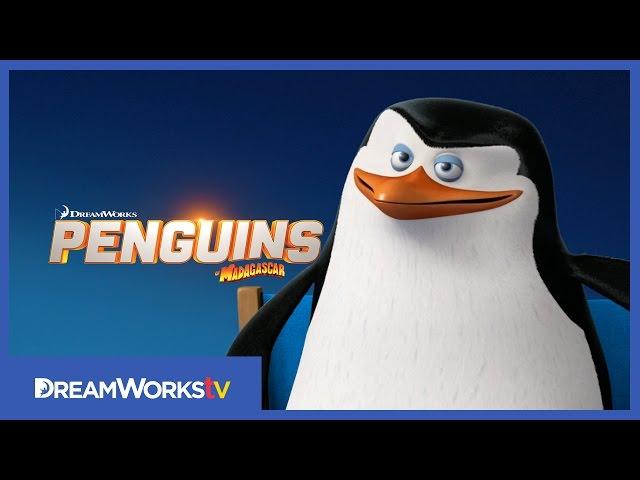 Meet Skipper | PENGUINS OF MADAGASCAR