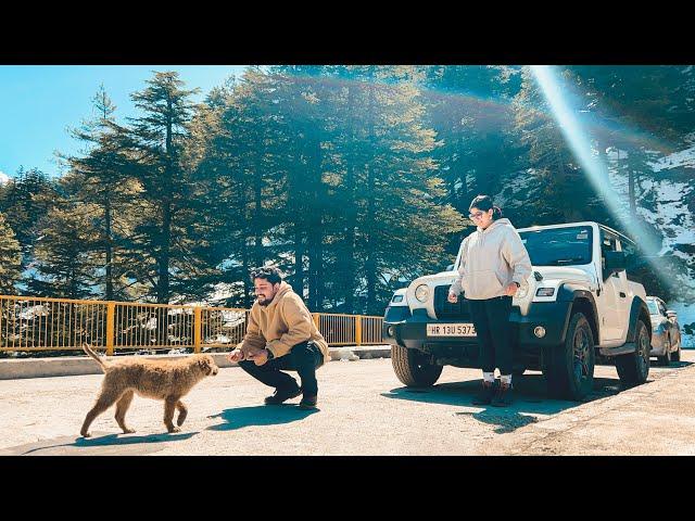 Gangotri 2024 Darshan | Harsil Valley | Bagori | Lama Top | Roadtrip to Uttarakhand